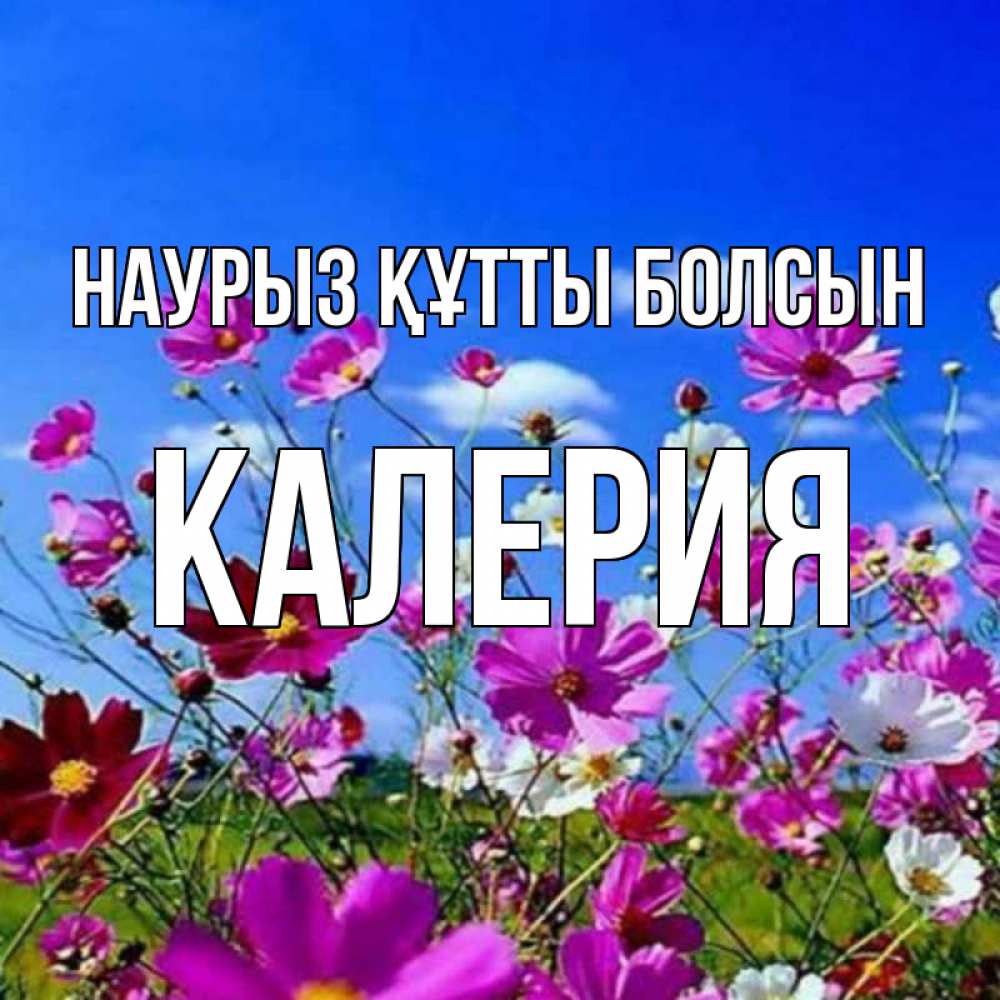 Күн сайын ашық хат с именем, Калерия Наурыз құтты болсын цветы Онлайн тегін жүктеп алу тілектері бар керемет карта 