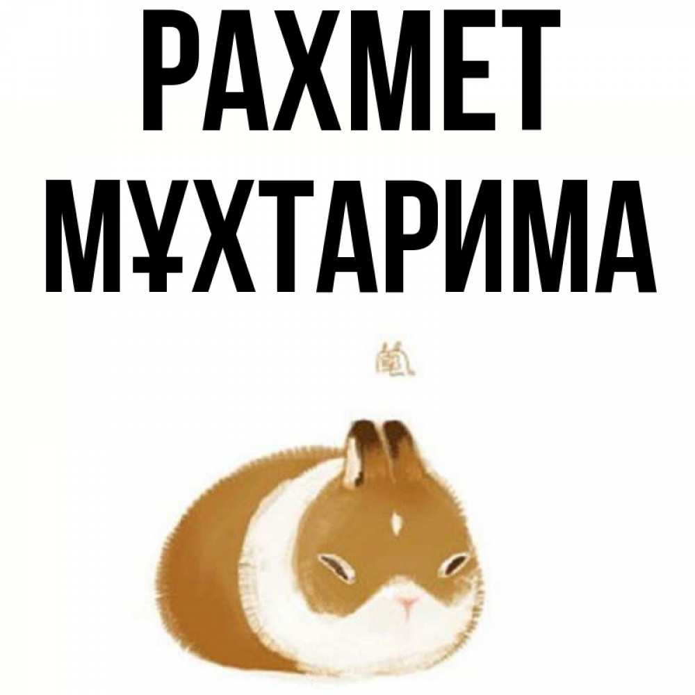 Күн сайын ашық хат с именем, МҰХТАРИМА рахмет коричнево белый домашний питомец Онлайн тегін жүктеп алу тілектері бар керемет карта 
