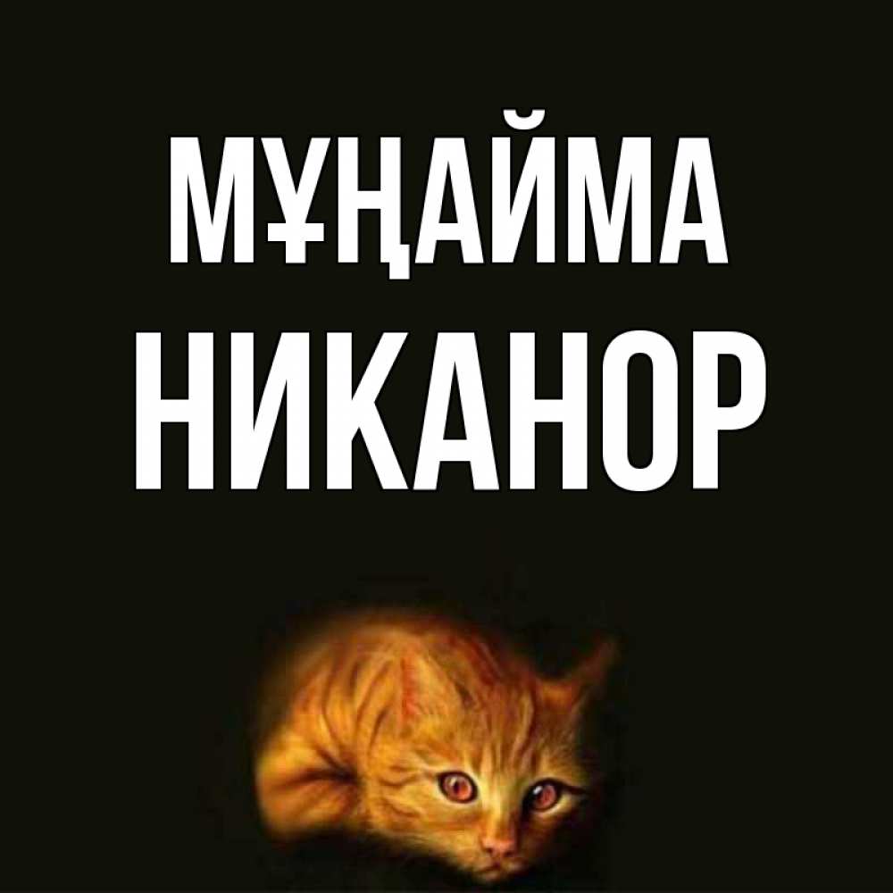 Күн сайын ашық хат с именем, Никанор Мұңайма лежащий кот в темноте Онлайн тегін жүктеп алу тілектері бар керемет карта 
