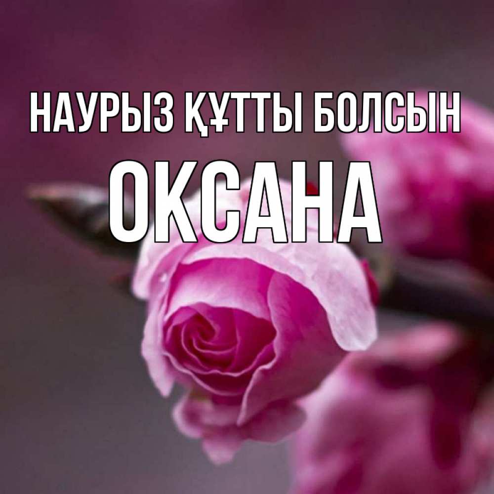 Күн сайын ашық хат с именем, Оксана Наурыз құтты болсын весна Онлайн тегін жүктеп алу тілектері бар керемет карта 