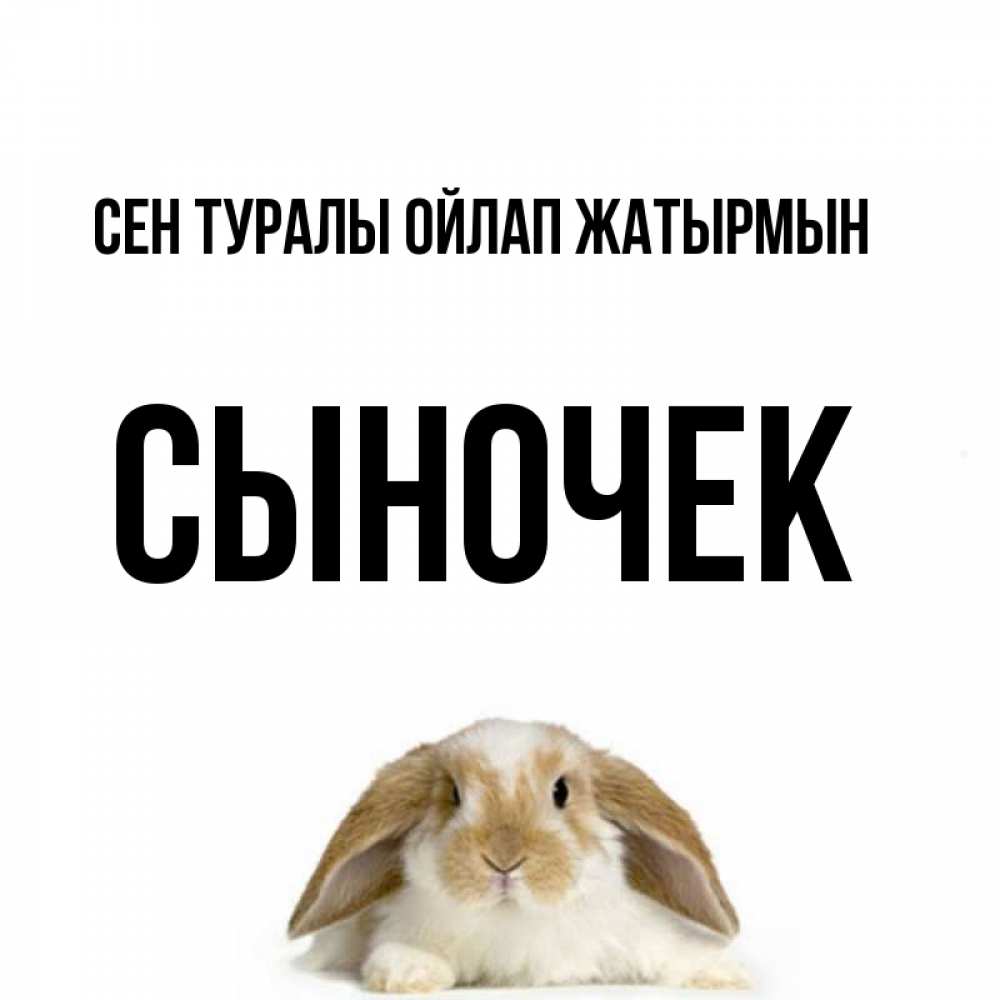 Күн сайын ашық хат с именем, Сыночек Сен туралы ойлап жатырмын подписать своими руками онлайн Онлайн тегін жүктеп алу тілектері бар керемет карта 