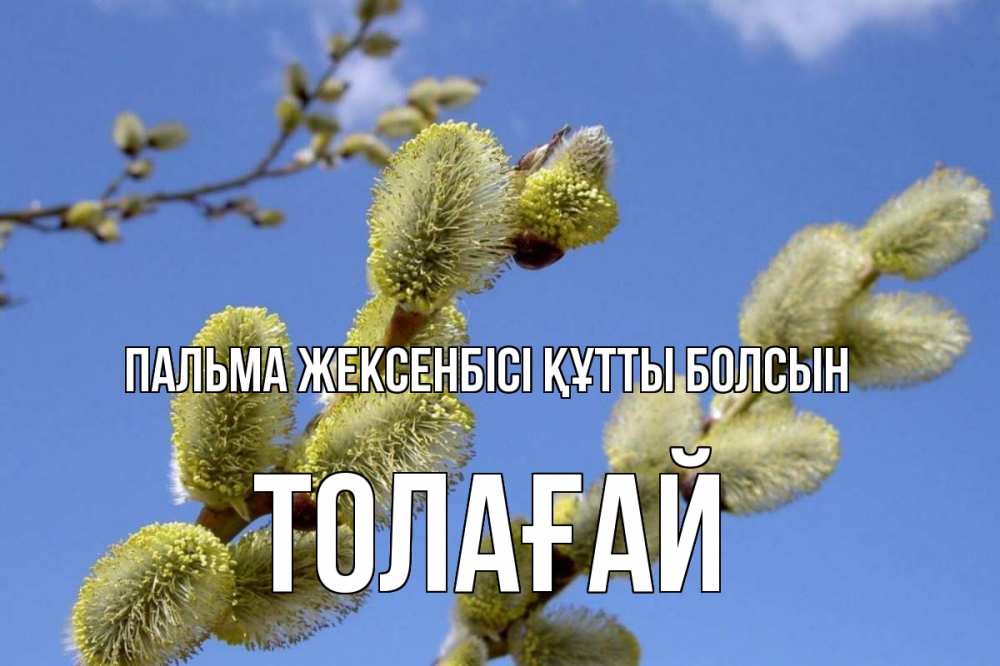Күн сайын ашық хат с именем, ТОЛАҒАЙ Пальма жексенбісі құтты болсын верба Онлайн тегін жүктеп алу тілектері бар керемет карта 