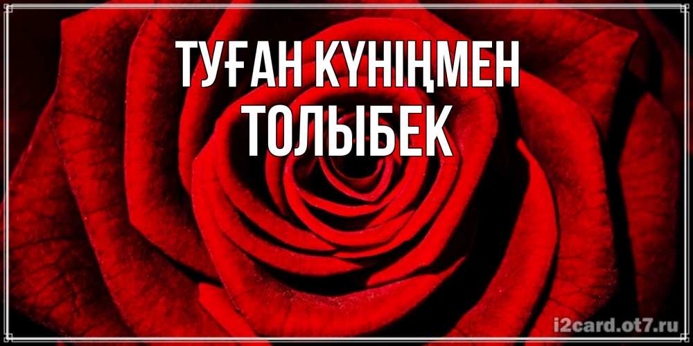 Күн сайын ашық хат с именем, ТОЛЫБЕК Туған күніңмен алая роза Онлайн тегін жүктеп алу тілектері бар керемет карта 