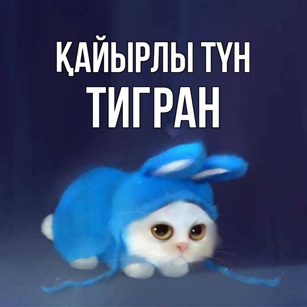 Күн сайын ашық хат с именем, Тигран Қайырлы түн кот в голубом костюме кролика с ушками Онлайн тегін жүктеп алу тілектері бар керемет карта 