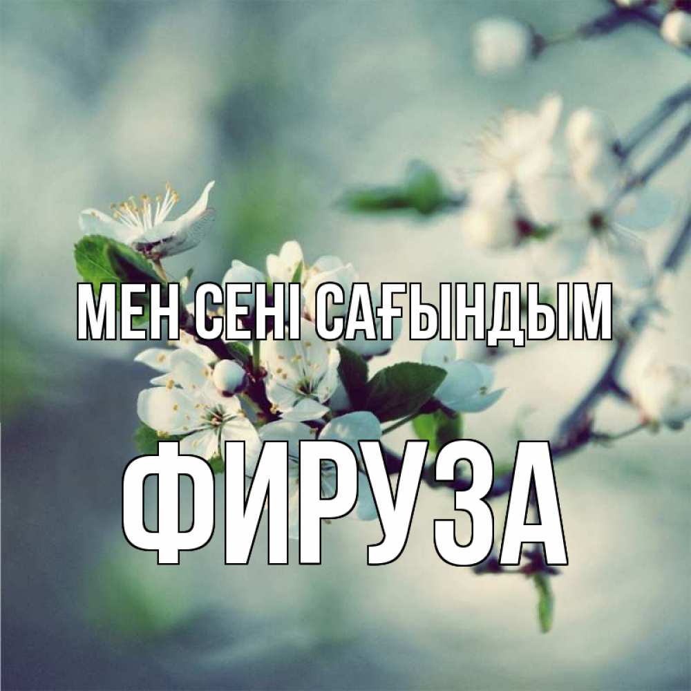 Күн сайын ашық хат с именем, ФИРУЗА Мен сені сағындым весна Онлайн тегін жүктеп алу тілектері бар керемет карта 