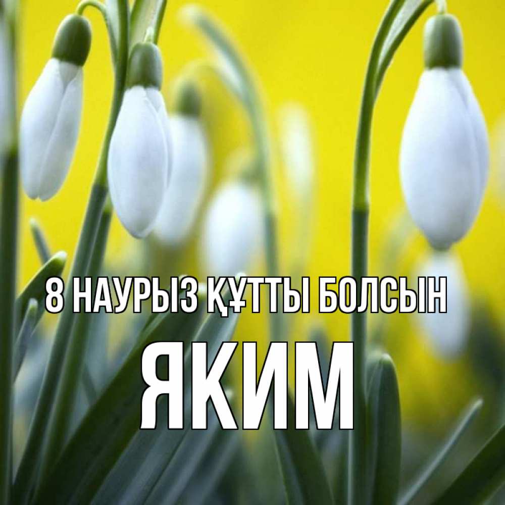 Күн сайын ашық хат с именем, Яким 8 наурыз құтты болсын весенние цветы Онлайн тегін жүктеп алу тілектері бар керемет карта 