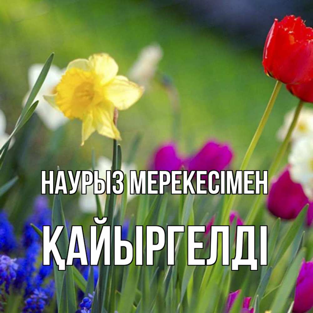 Күн сайын ашық хат с именем, Қайыргелді Наурыз мерекесімен праздник весны наурыз 3 Онлайн тегін жүктеп алу тілектері бар керемет карта 