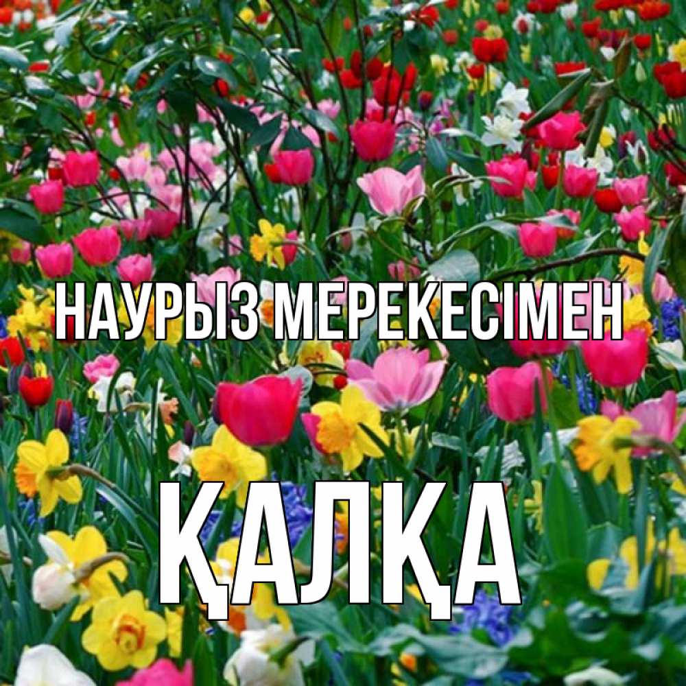 Күн сайын ашық хат с именем, Қалқа Наурыз мерекесімен с наурызом праздником весны поздравления для женщины Онлайн тегін жүктеп алу тілектері бар керемет карта 