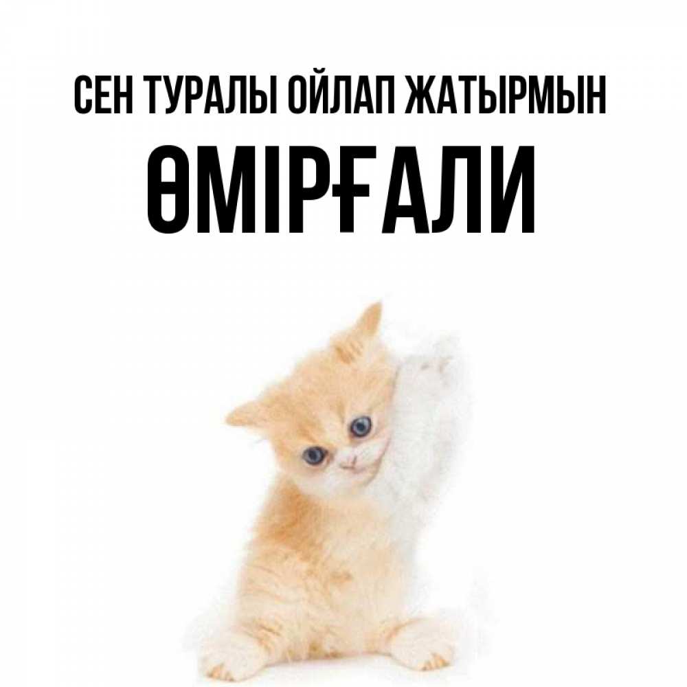 Күн сайын ашық хат с именем, ӨМІРҒАЛИ Сен туралы ойлап жатырмын зверушки и милота Онлайн тегін жүктеп алу тілектері бар керемет карта 