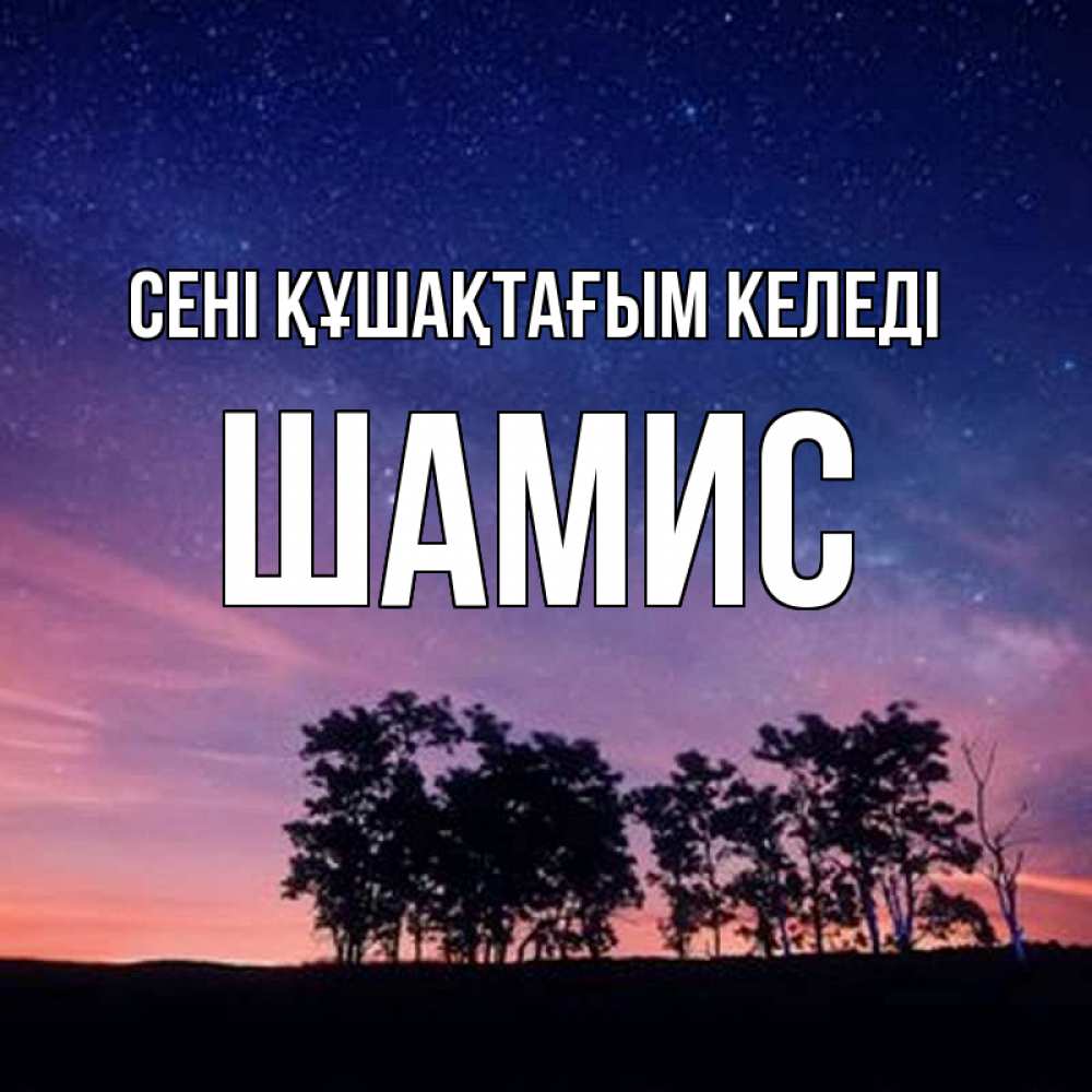 Күн сайын ашық хат с именем, ШАМИС сені құшақтағым келеді силуэты деревьев Онлайн тегін жүктеп алу тілектері бар керемет карта 