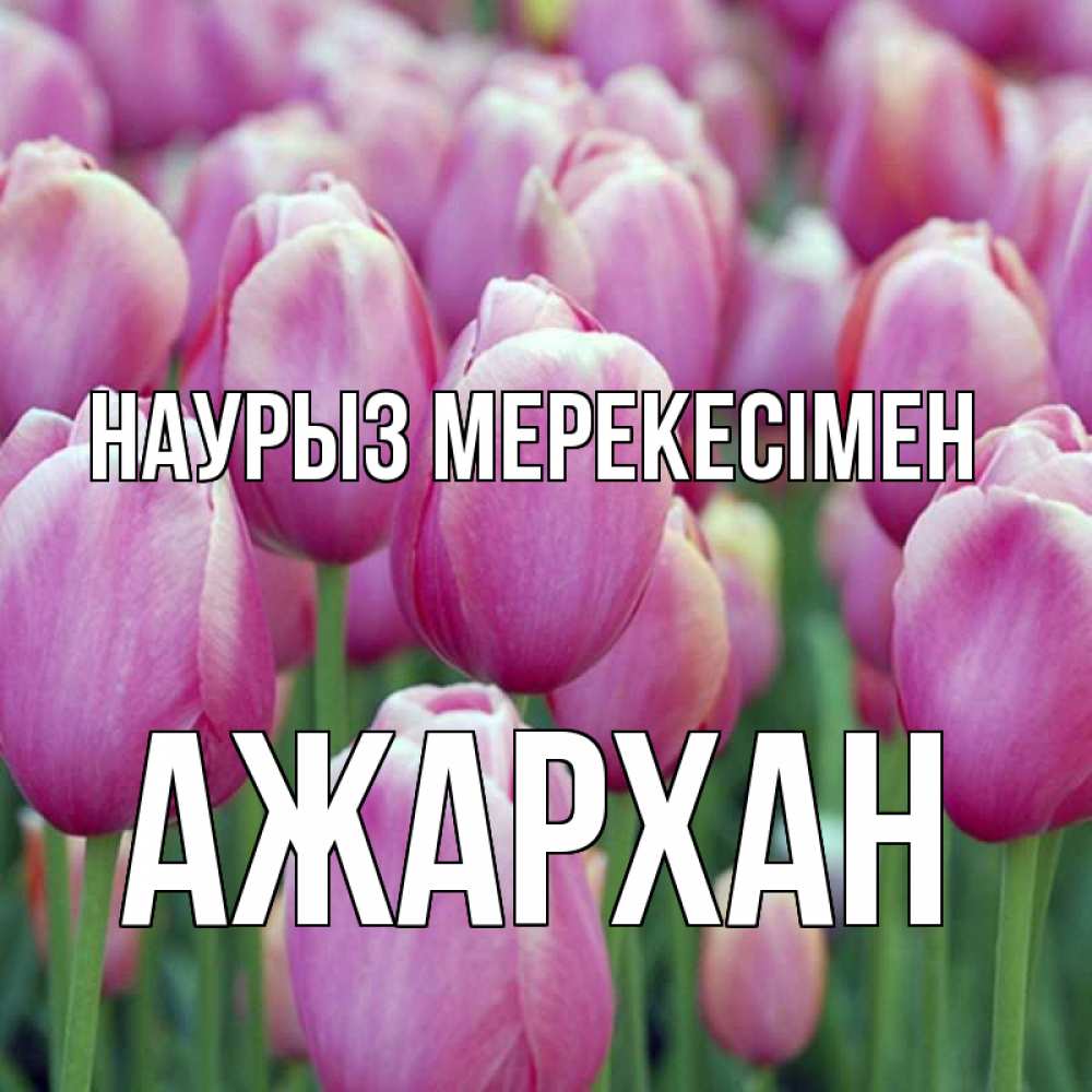 Күн сайын ашық хат с именем, АЖАРХАН Наурыз мерекесімен праздник весны наурыз 69 Онлайн тегін жүктеп алу тілектері бар керемет карта 