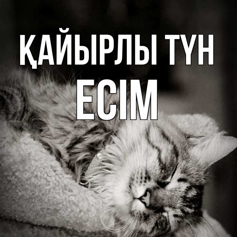 Күн сайын ашық хат с именем, Есім Қайырлы түн котярик пушистый Онлайн тегін жүктеп алу тілектері бар керемет карта 