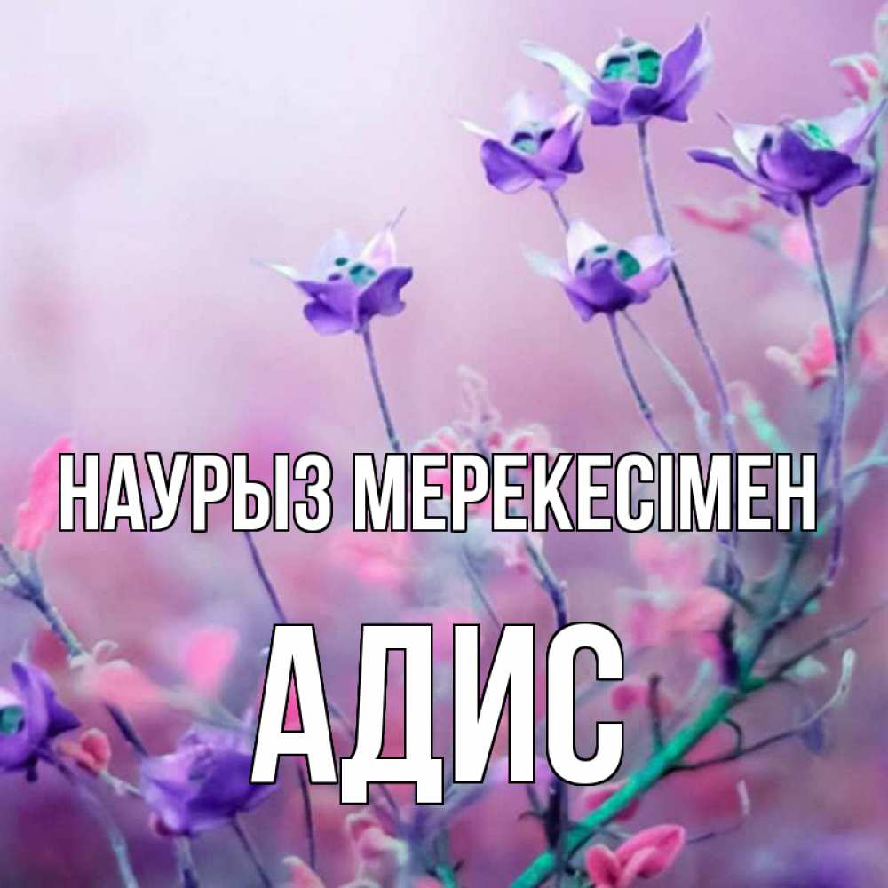 Күн сайын ашық хат с именем, Адис Наурыз мерекесімен международный женский день 2 Онлайн тегін жүктеп алу тілектері бар керемет карта 
