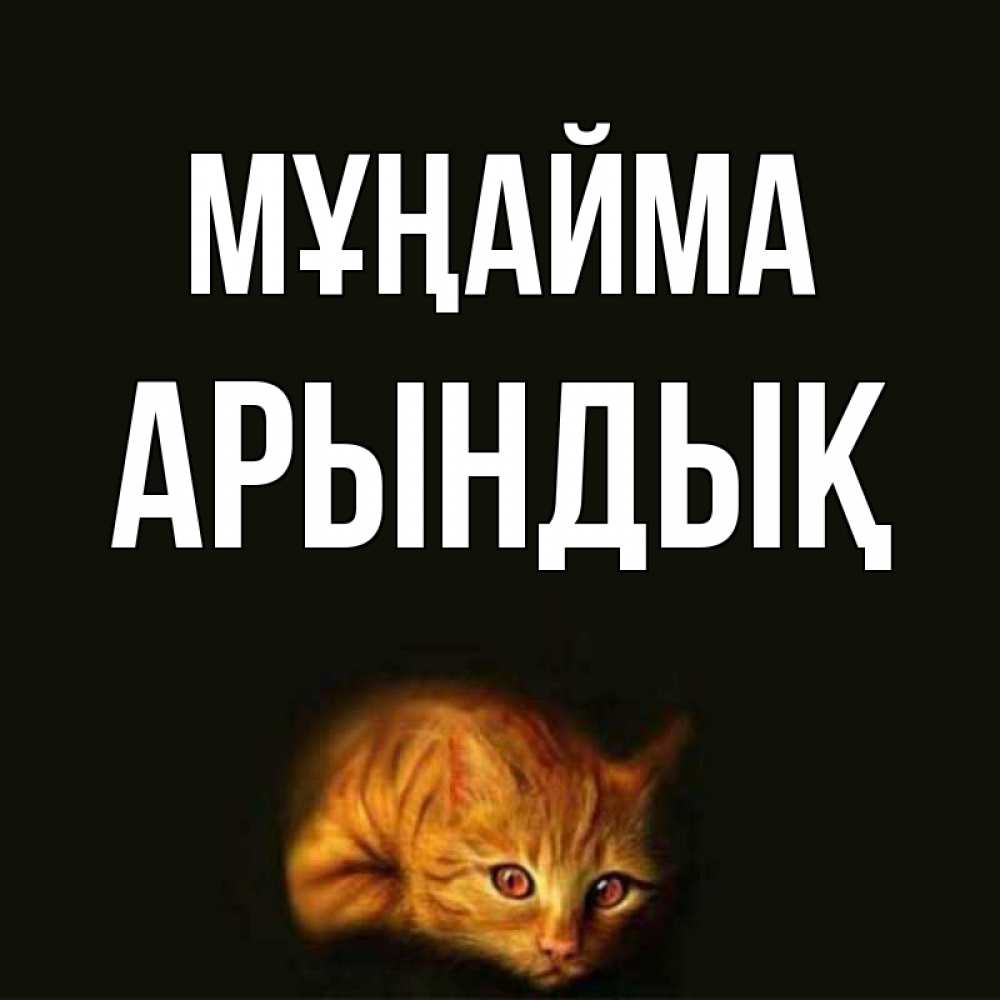 Күн сайын ашық хат с именем, Арындық Мұңайма лежащий кот в темноте Онлайн тегін жүктеп алу тілектері бар керемет карта 