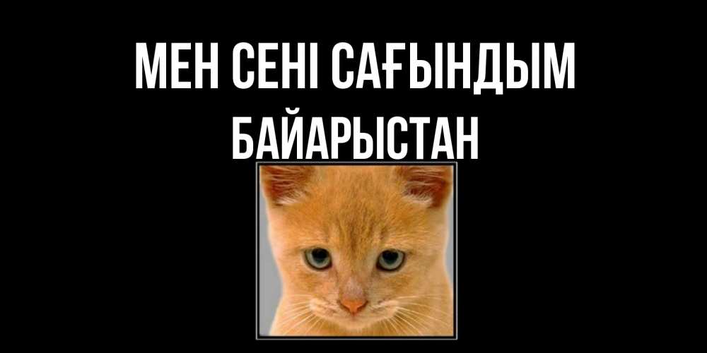 Күн сайын ашық хат с именем, Байарыстан Мен сені сағындым открытки рыжий котенок скучает по тебе Онлайн тегін жүктеп алу тілектері бар керемет карта 