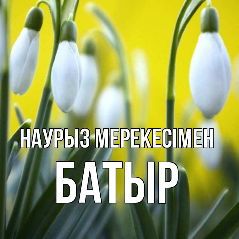Күн сайын ашық хат с именем, Батыр Наурыз мерекесімен весенние цветы Онлайн тегін жүктеп алу тілектері бар керемет карта 