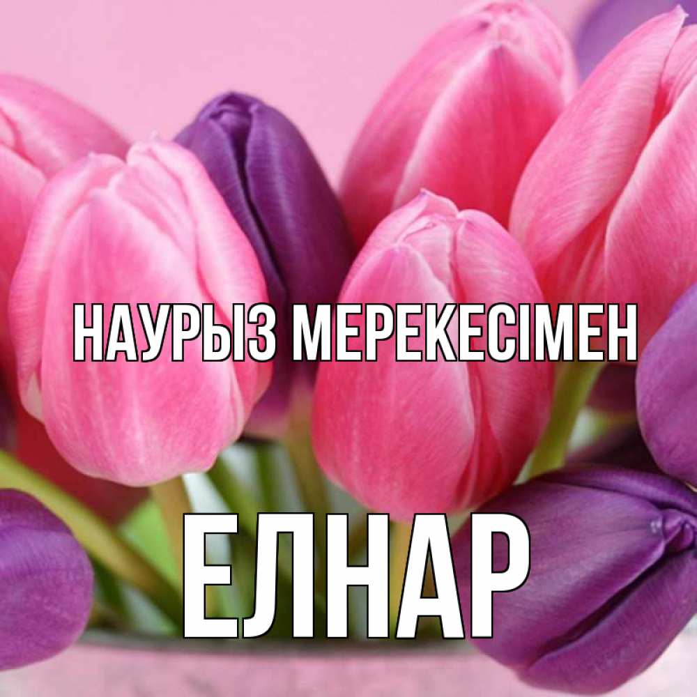 Күн сайын ашық хат с именем, Елнар Наурыз мерекесімен маме 1 Онлайн тегін жүктеп алу тілектері бар керемет карта 