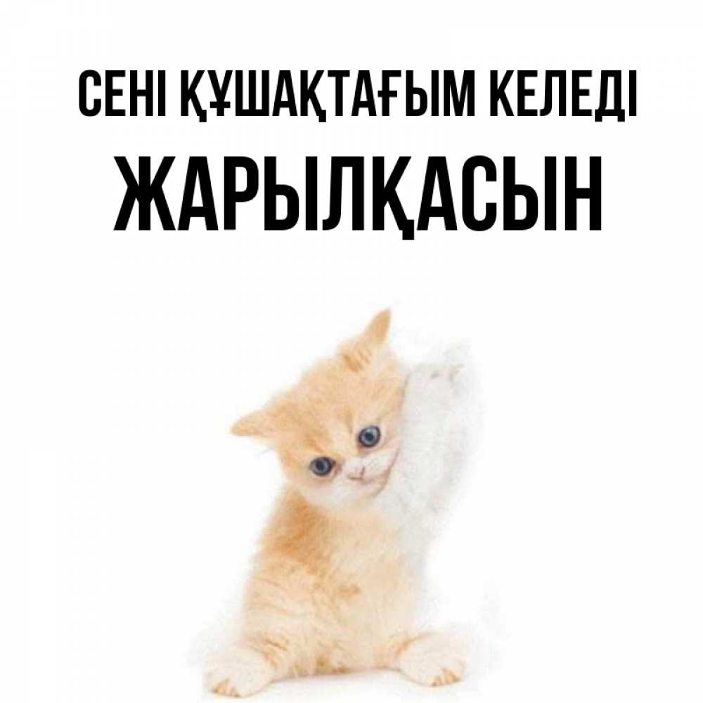 Күн сайын ашық хат с именем, Жарылқасын сені құшақтағым келеді я хочу очень скорее обнимаешек Онлайн тегін жүктеп алу тілектері бар керемет карта 