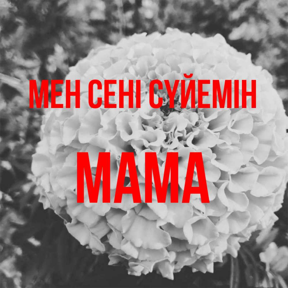 Күн сайын ашық хат с именем, Мама Мен сені сүйемін подпись Онлайн тегін жүктеп алу тілектері бар керемет карта 