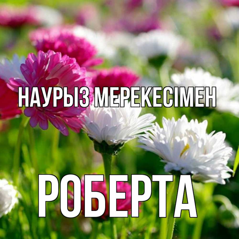 Күн сайын ашық хат с именем, Роберта Наурыз мерекесімен праздник весны наурыз красота Онлайн тегін жүктеп алу тілектері бар керемет карта 