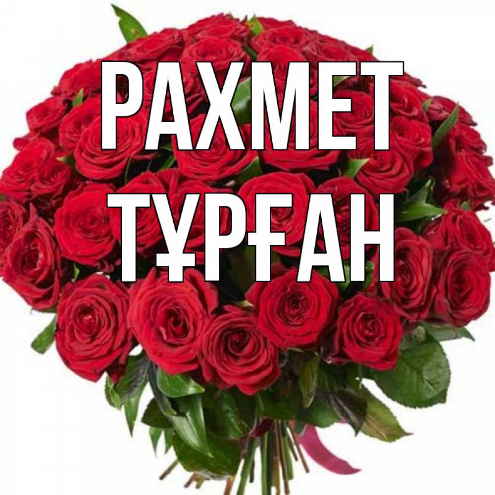Күн сайын ашық хат с именем, ТҰРҒАН рахмет букет красных роз Онлайн тегін жүктеп алу тілектері бар керемет карта 