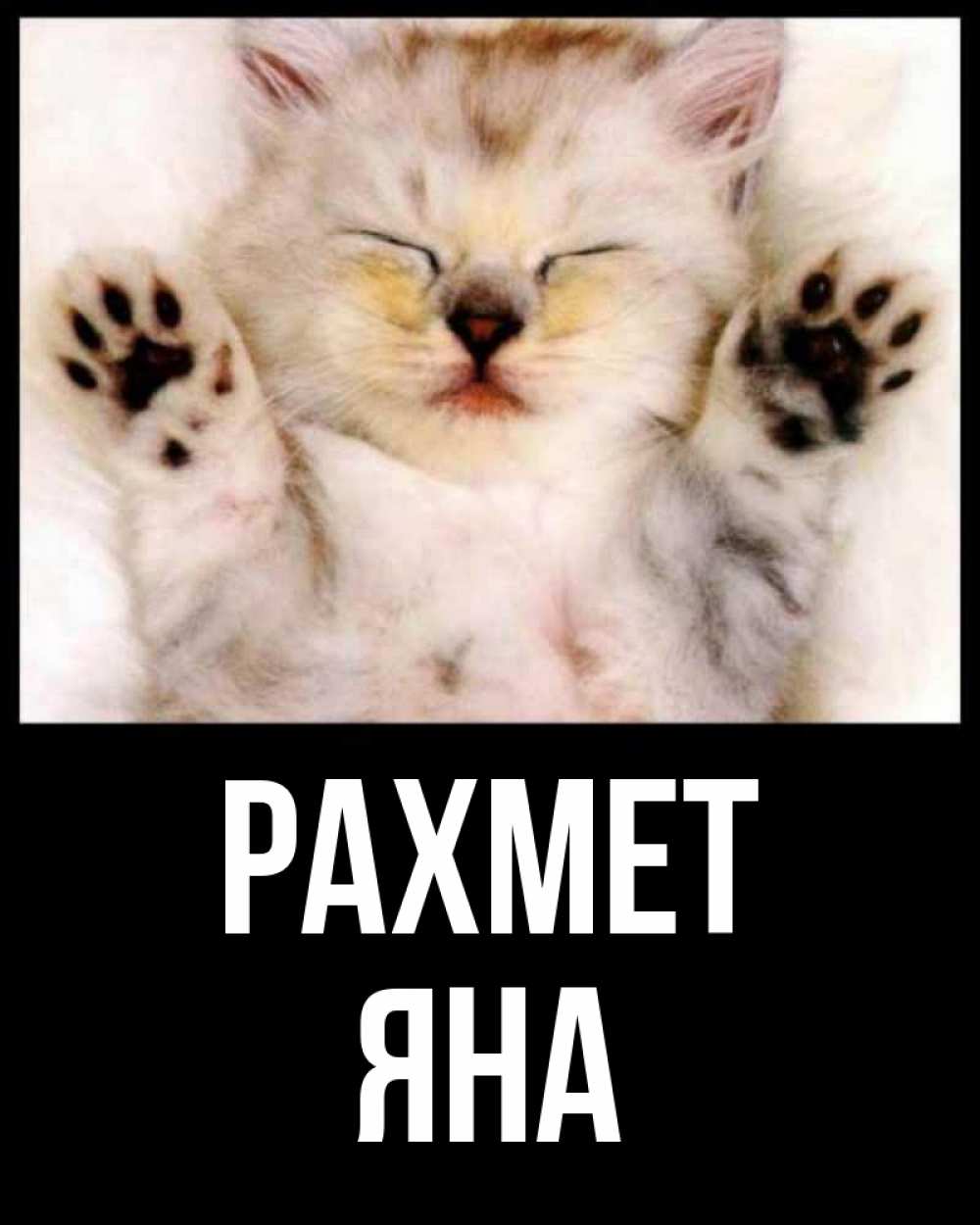 Күн сайын ашық хат с именем, Яна рахмет маленький котенок Онлайн тегін жүктеп алу тілектері бар керемет карта 