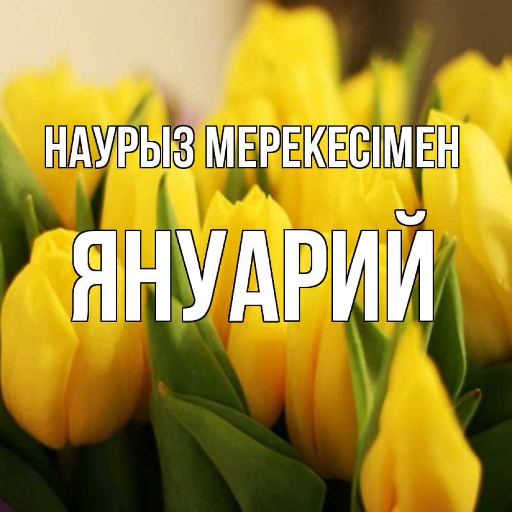 Күн сайын ашық хат с именем, Януарий Наурыз мерекесімен цветы Онлайн тегін жүктеп алу тілектері бар керемет карта 