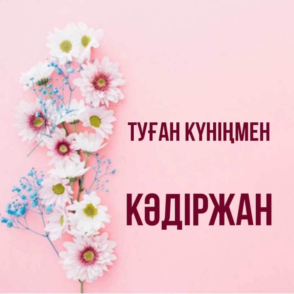 Күн сайын ашық хат с именем, Кәдіржан Туған күніңмен Родная моя с днем рождения тебя картинка с цветами белыми и голубыми Онлайн тегін жүктеп алу тілектері бар керемет карта 