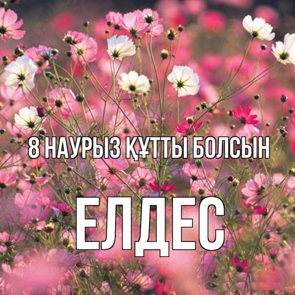 Күн сайын ашық хат с именем, Елдес 8 наурыз құтты болсын красиво 1 Онлайн тегін жүктеп алу тілектері бар керемет карта 