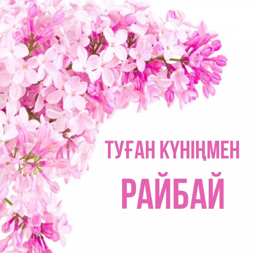 Күн сайын ашық хат с именем, РАЙБАЙ Туған күніңмен Сирень на белом фоне Онлайн тегін жүктеп алу тілектері бар керемет карта 