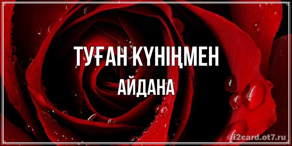 Күн сайын ашық хат с именем, АЙДАНА Туған күніңмен крупная бордовая роза Онлайн тегін жүктеп алу тілектері бар керемет карта 