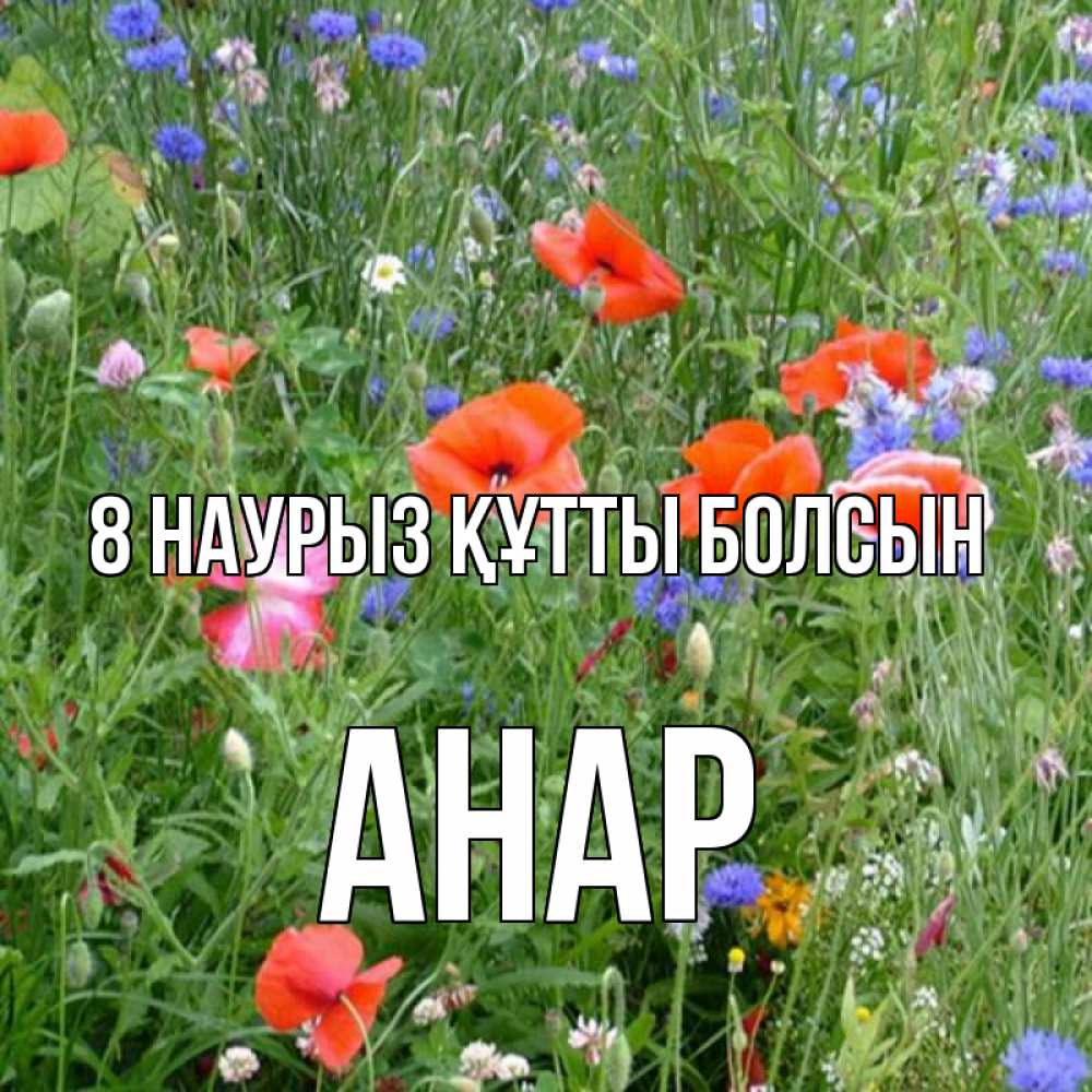 Күн сайын ашық хат с именем, АНАР 8 наурыз құтты болсын международный женский день 4 Онлайн тегін жүктеп алу тілектері бар керемет карта 