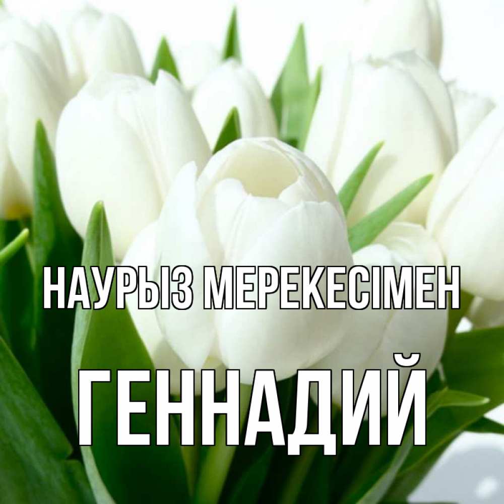 Күн сайын ашық хат с именем, Геннадий Наурыз мерекесімен цветы Онлайн тегін жүктеп алу тілектері бар керемет карта 