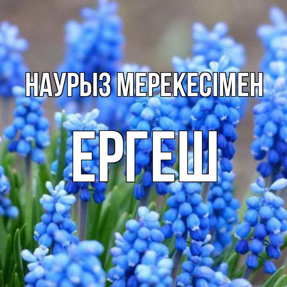 Күн сайын ашық хат с именем, Ергеш Наурыз мерекесімен Поздравительная открытка для женщин с цветами на праздничную дату Онлайн тегін жүктеп алу тілектері бар керемет карта 