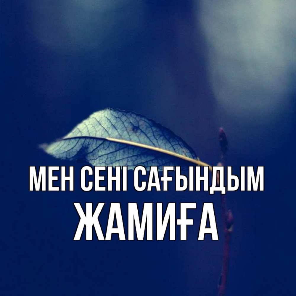 Күн сайын ашық хат с именем, ЖАМИҒА Мен сені сағындым одна ветка 1 Онлайн тегін жүктеп алу тілектері бар керемет карта 