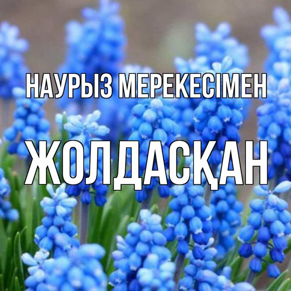 Күн сайын ашық хат с именем, Жолдасқан Наурыз мерекесімен Поздравительная открытка для женщин с цветами на праздничную дату Онлайн тегін жүктеп алу тілектері бар керемет карта 