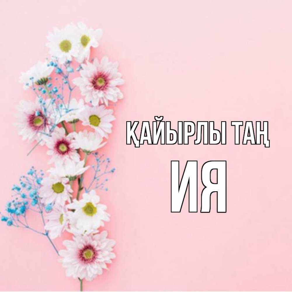 Күн сайын ашық хат с именем, Ия Қайырлы таң цветы с подписью Онлайн тегін жүктеп алу тілектері бар керемет карта 