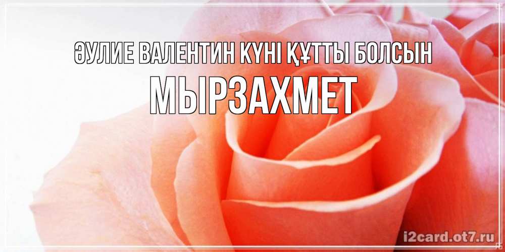 Күн сайын ашық хат с именем, МЫРЗАХМЕТ Әулие Валентин күні құтты болсын открытка на день Святого Валентина с розовой розой Онлайн тегін жүктеп алу тілектері бар керемет карта 