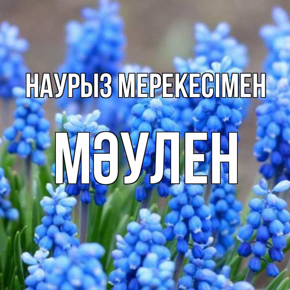 Күн сайын ашық хат с именем, МӘУЛЕН Наурыз мерекесімен Поздравительная открытка для женщин с цветами на праздничную дату Онлайн тегін жүктеп алу тілектері бар керемет карта 