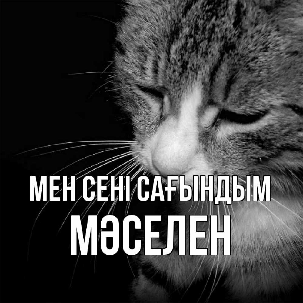 Күн сайын ашық хат с именем, Мәселен Мен сені сағындым мне скучно Онлайн тегін жүктеп алу тілектері бар керемет карта 