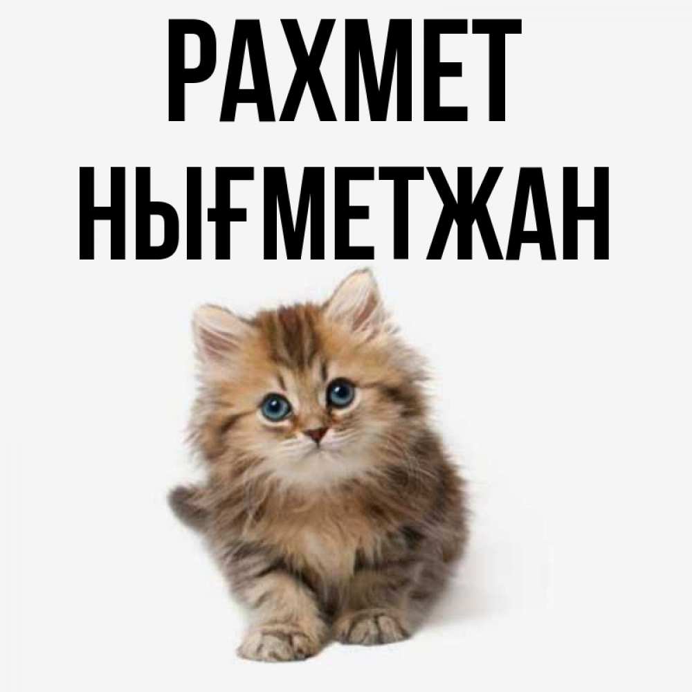 Күн сайын ашық хат с именем, НЫҒМЕТЖАН рахмет пушистый котик Онлайн тегін жүктеп алу тілектері бар керемет карта 