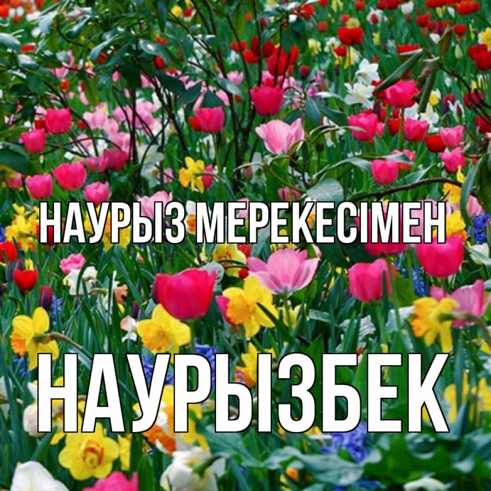 Күн сайын ашық хат с именем, Наурызбек Наурыз мерекесімен с наурызом праздником весны поздравления для женщины Онлайн тегін жүктеп алу тілектері бар керемет карта 