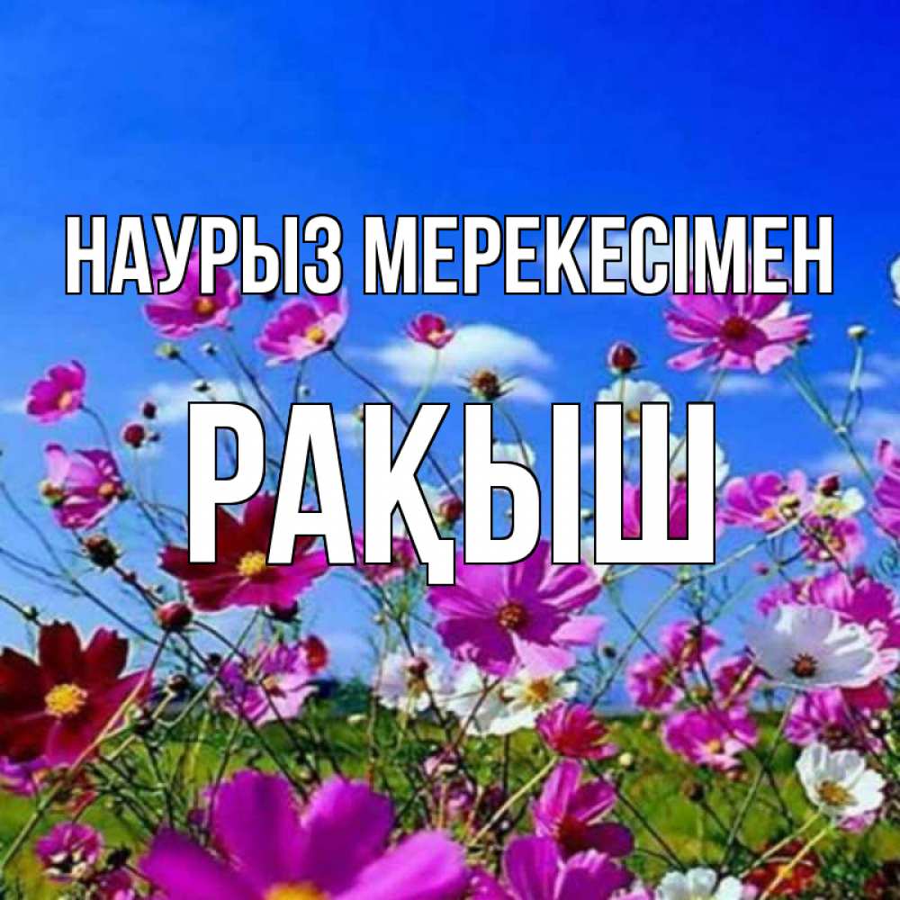 Күн сайын ашық хат с именем, Рақыш Наурыз мерекесімен цветы Онлайн тегін жүктеп алу тілектері бар керемет карта 