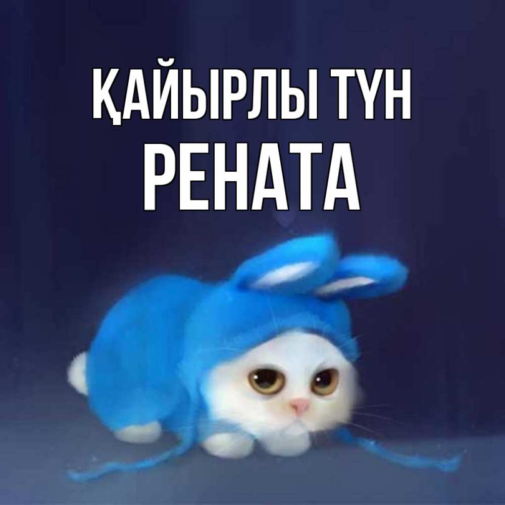 Күн сайын ашық хат с именем, Рената Қайырлы түн кот в голубом костюме кролика с ушками Онлайн тегін жүктеп алу тілектері бар керемет карта 