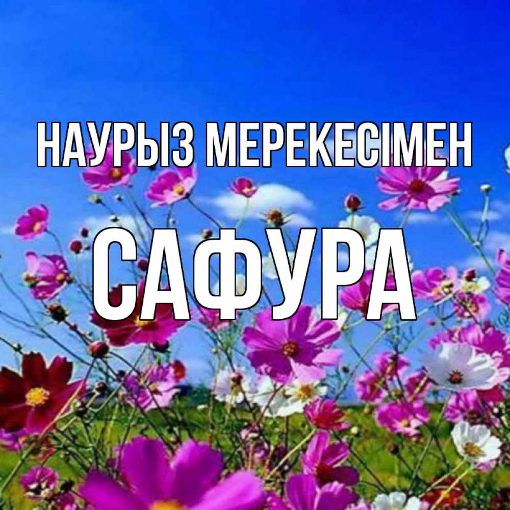 Күн сайын ашық хат с именем, САФУРА Наурыз мерекесімен цветы Онлайн тегін жүктеп алу тілектері бар керемет карта 