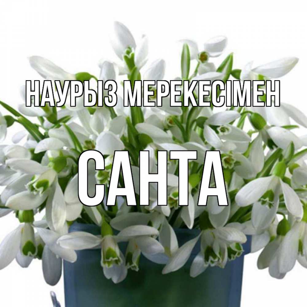Күн сайын ашық хат с именем, Санта Наурыз мерекесімен цветы к наурызу новый год в Казахстане Онлайн тегін жүктеп алу тілектері бар керемет карта 