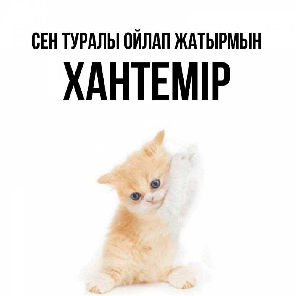 Күн сайын ашық хат с именем, ХАНТЕМІР Сен туралы ойлап жатырмын зверушки и милота Онлайн тегін жүктеп алу тілектері бар керемет карта 