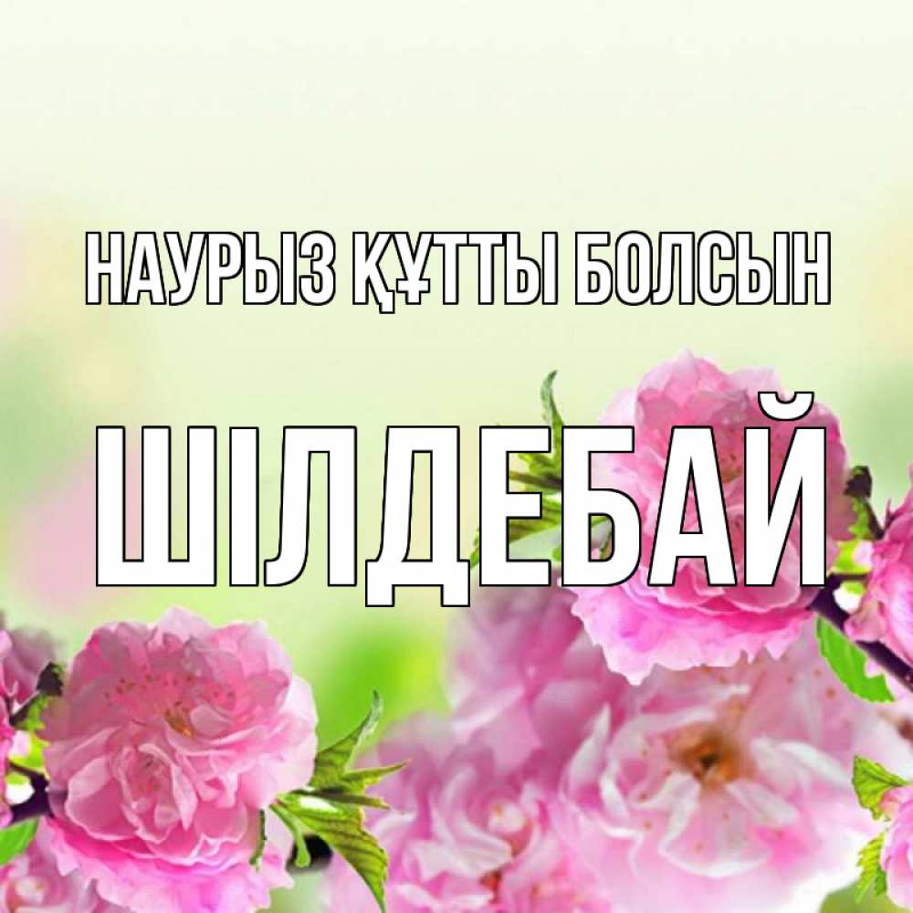 Күн сайын ашық хат с именем, ШІЛДЕБАЙ Наурыз құтты болсын цветы Онлайн тегін жүктеп алу тілектері бар керемет карта 