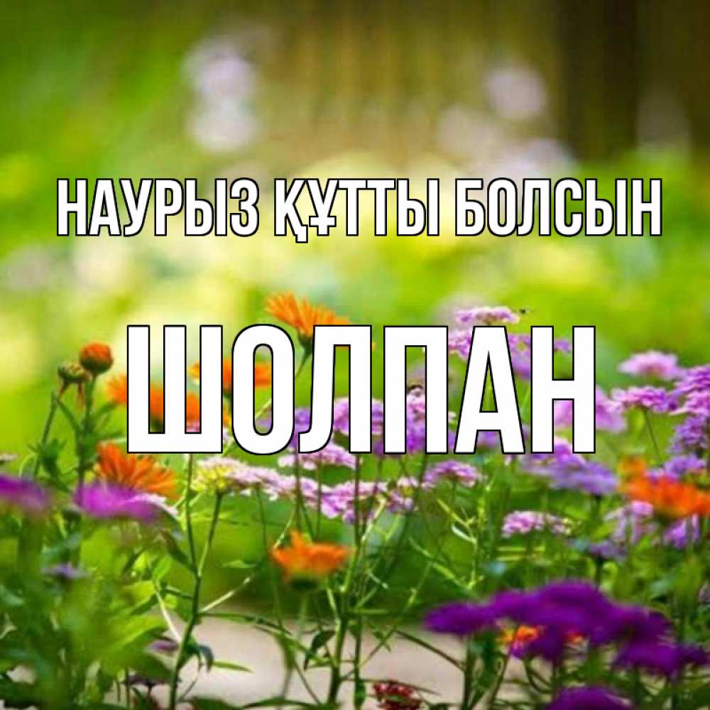Күн сайын ашық хат с именем, ШОЛПАН Наурыз құтты болсын цветы Онлайн тегін жүктеп алу тілектері бар керемет карта 
