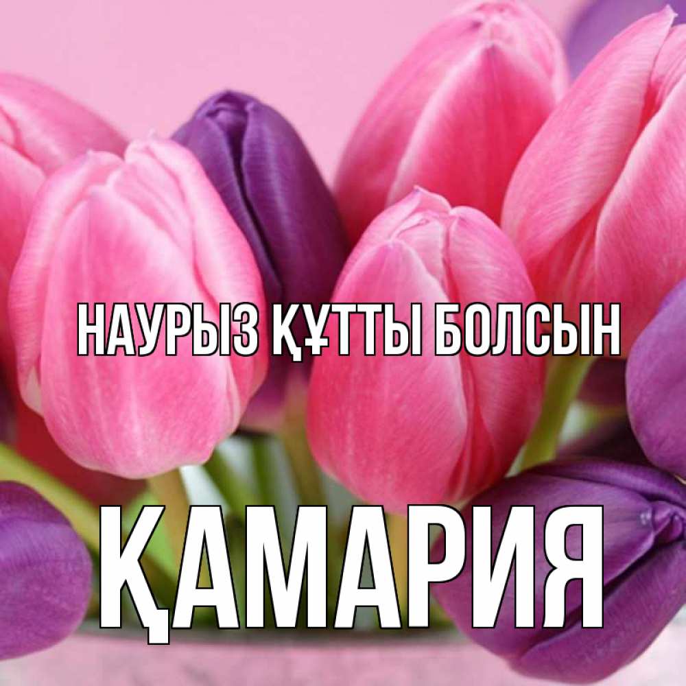 Күн сайын ашық хат с именем, ҚАМАРИЯ Наурыз құтты болсын маме 1 Онлайн тегін жүктеп алу тілектері бар керемет карта 